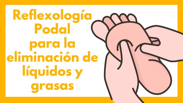 reflexologia podal eliminacion liquidos grasas