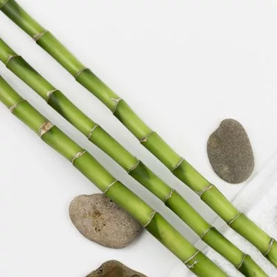 curso-online-MASAJE-cañas-de-bambu copia